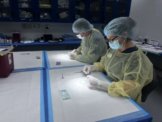 Surgical Training with 3D printed mice