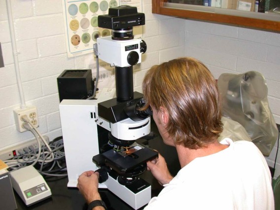 Veterinarian looking at slide samples through microscope