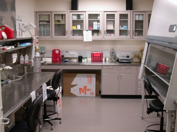 Picture of necropsy room in pathology lab
