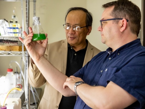 Two scientists looking at algae in a lab