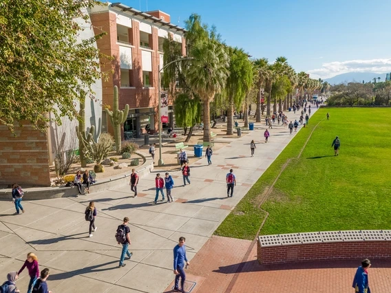 A lively college campus walkway lined with tall palm trees and desert plants, with students walking, chatting, and carrying backpacks. The modern brick and glass buildings in the background reflect the warm, sunny weather. A large green lawn extends alongside the path, adding to the vibrant and welcoming atmosphere.