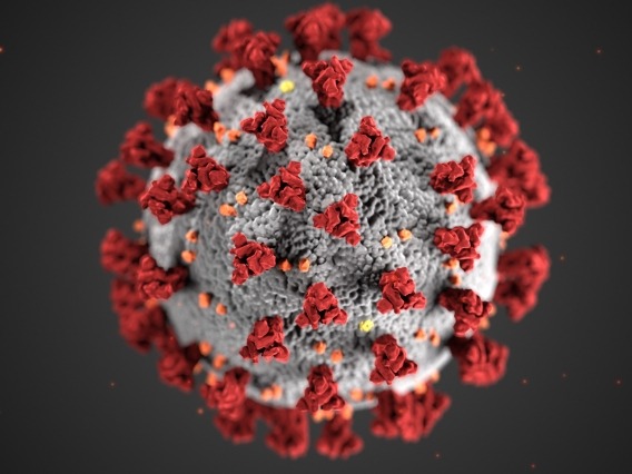 Illustration of a coronavirus particle