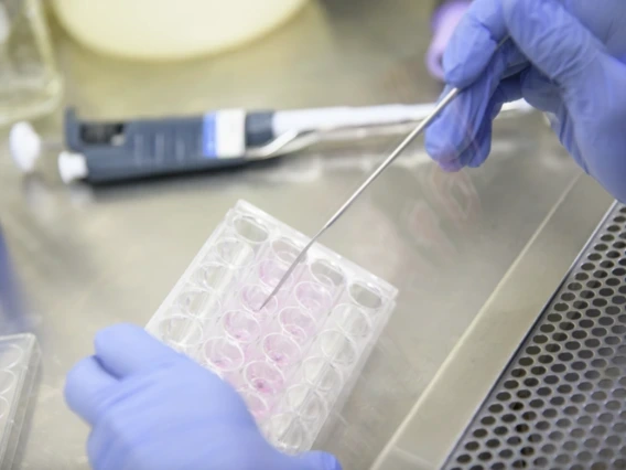 Medical test tubes
