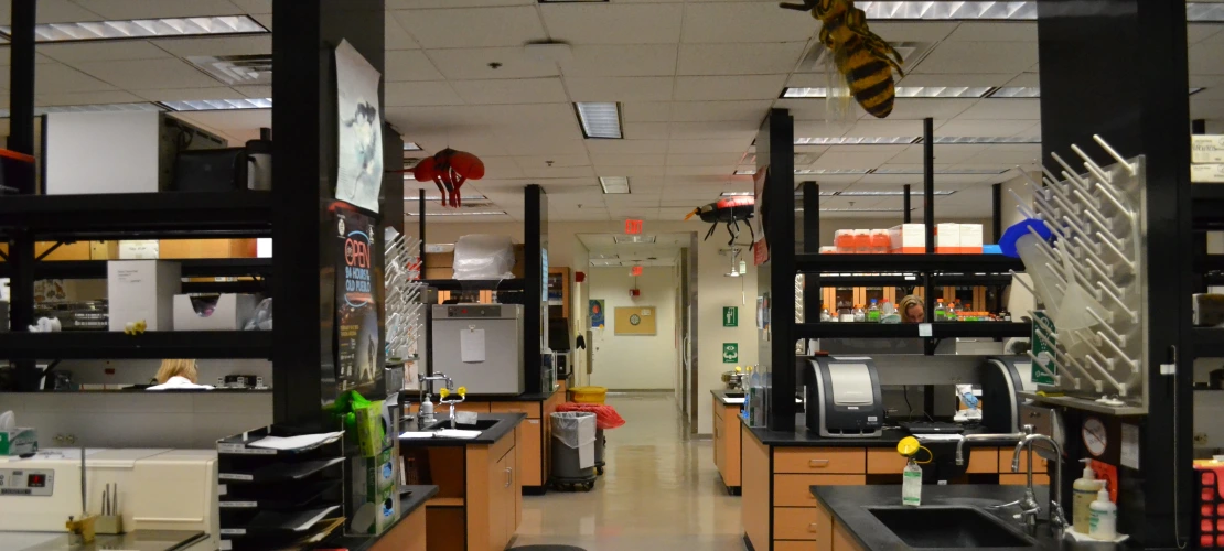 Pathology Lab