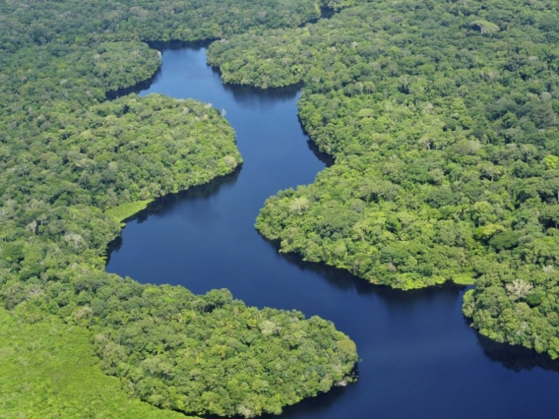 Amazon River photographed from the air
