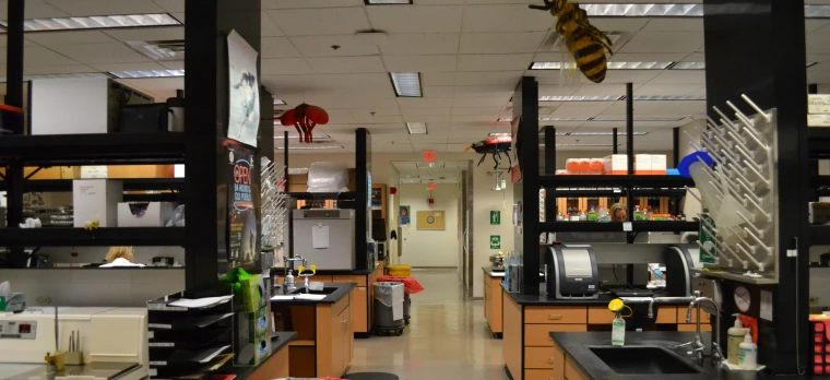 pathology lab